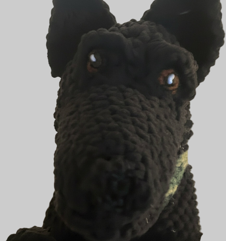 Close-up of a black crocheted dog toy with brown eyes.