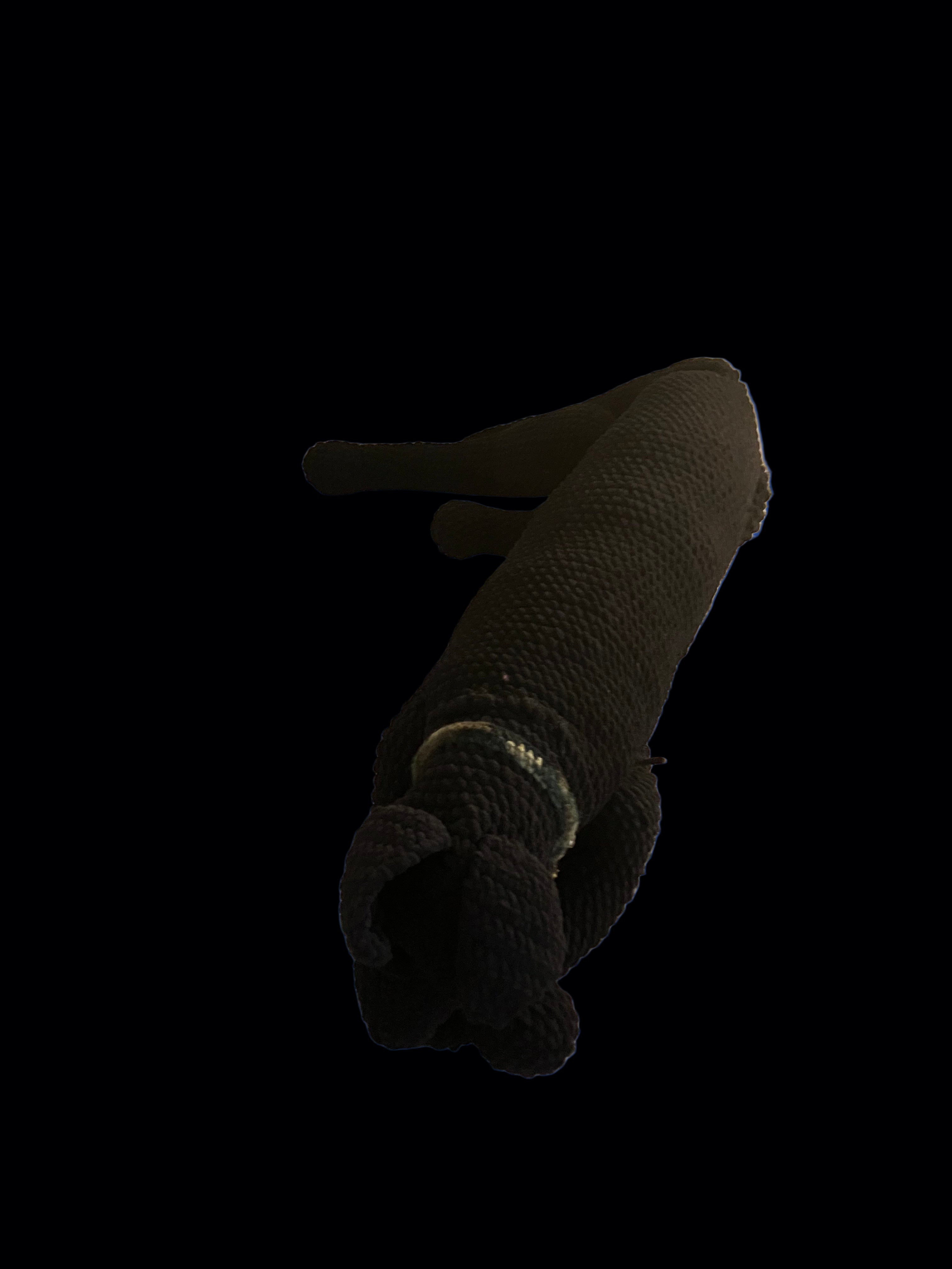 Plush Emotional Support Pet